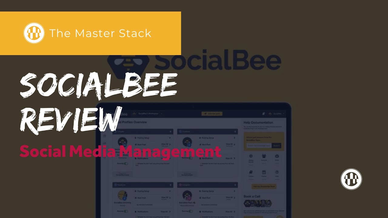 SocialBee Review 2020 - The Bees are Buzzing